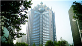 洛陽開元礦業集團有限公司，始成立于2006年，主營業務涵蓋礦產品貿易、礦山開發、酒店服務、房地產開發和金融投資等，集團位于洛陽市開元大道世貿中心；中國民主建國會會員、青年企業家許明月先生是公司創始人和實際控制人，目前任洛陽開元礦業集團有限公司董事長兼總經理。